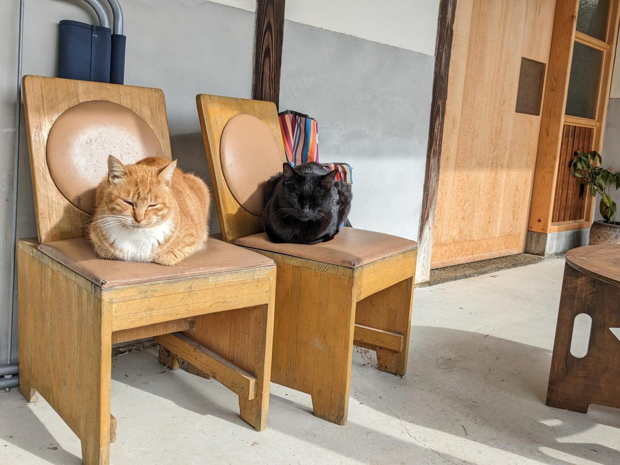 猫と図書館のある宿 草地家 Kusachike Minamiawaji Luaran gambar