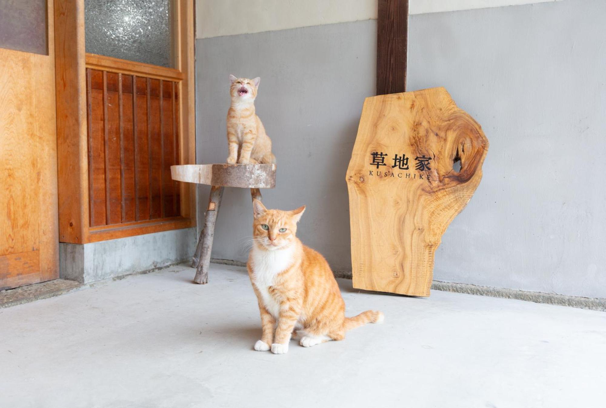 猫と図書館のある宿 草地家 Kusachike Minamiawaji Luaran gambar